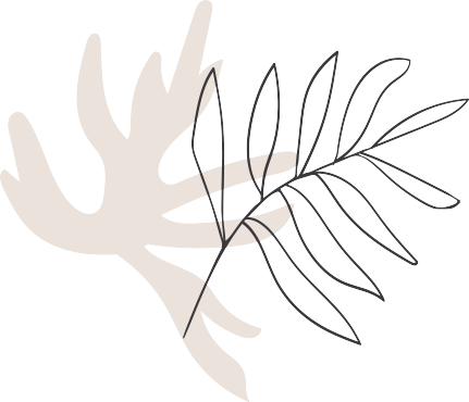 contact-2-shape-1 contact-2-shape-1