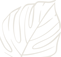 faq-search-flower-1-1 faq-search-flower-1-1