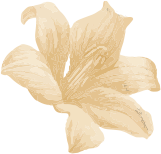 testi-3-flower testi-3-flower